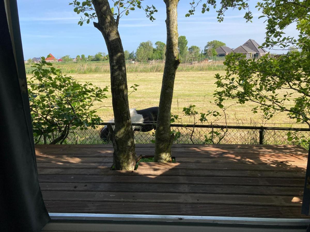 Het Oude Strandhuis Uitgeest 外观 照片